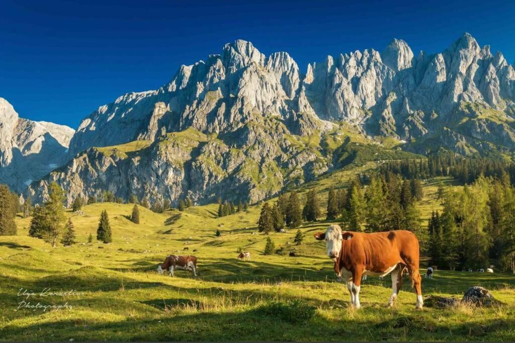 Hochkoenig Ferien Mühlbach am Hochkönig Exterior foto